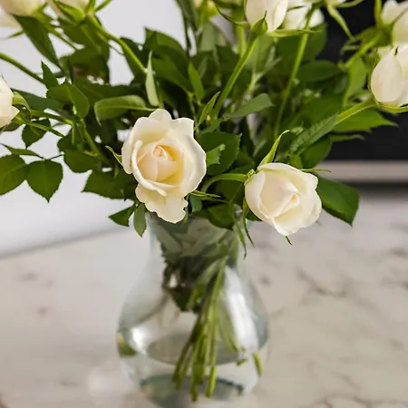 Bel Mare Sunrise With Balcony & Wellness Zone By Rent Like